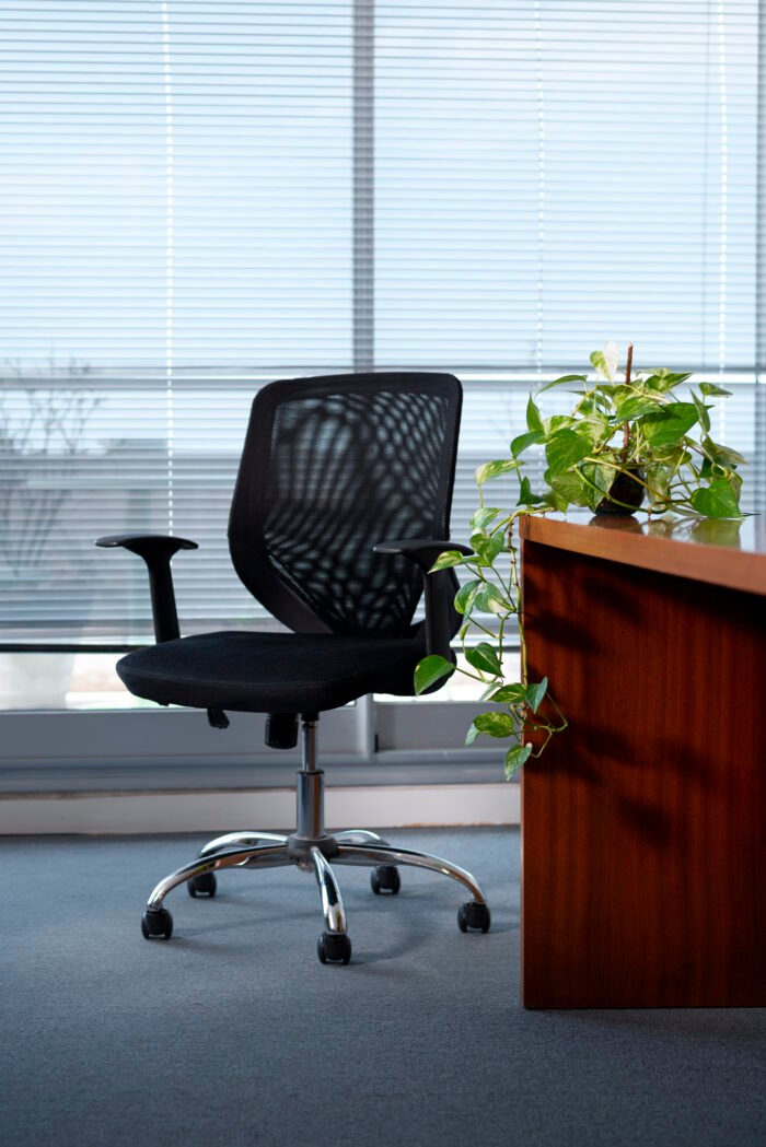 Executive office chair